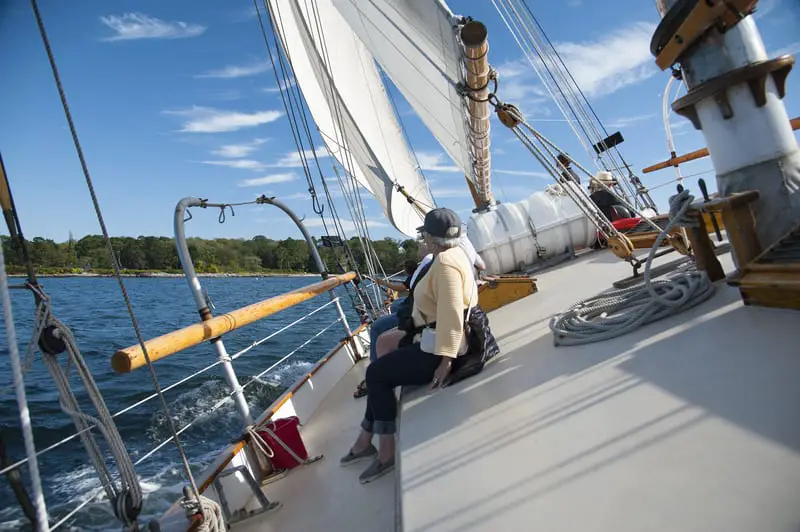 catamaran or speedboat