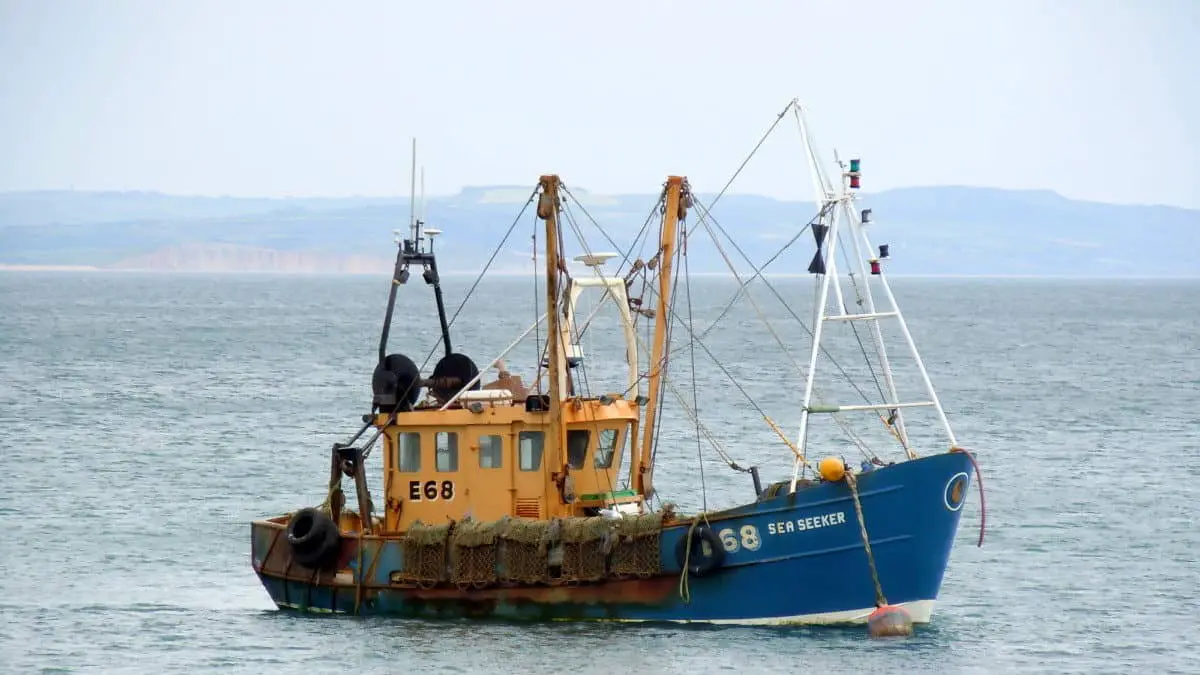 power catamaran vs trawler