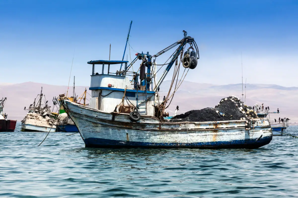 power catamaran vs trawler