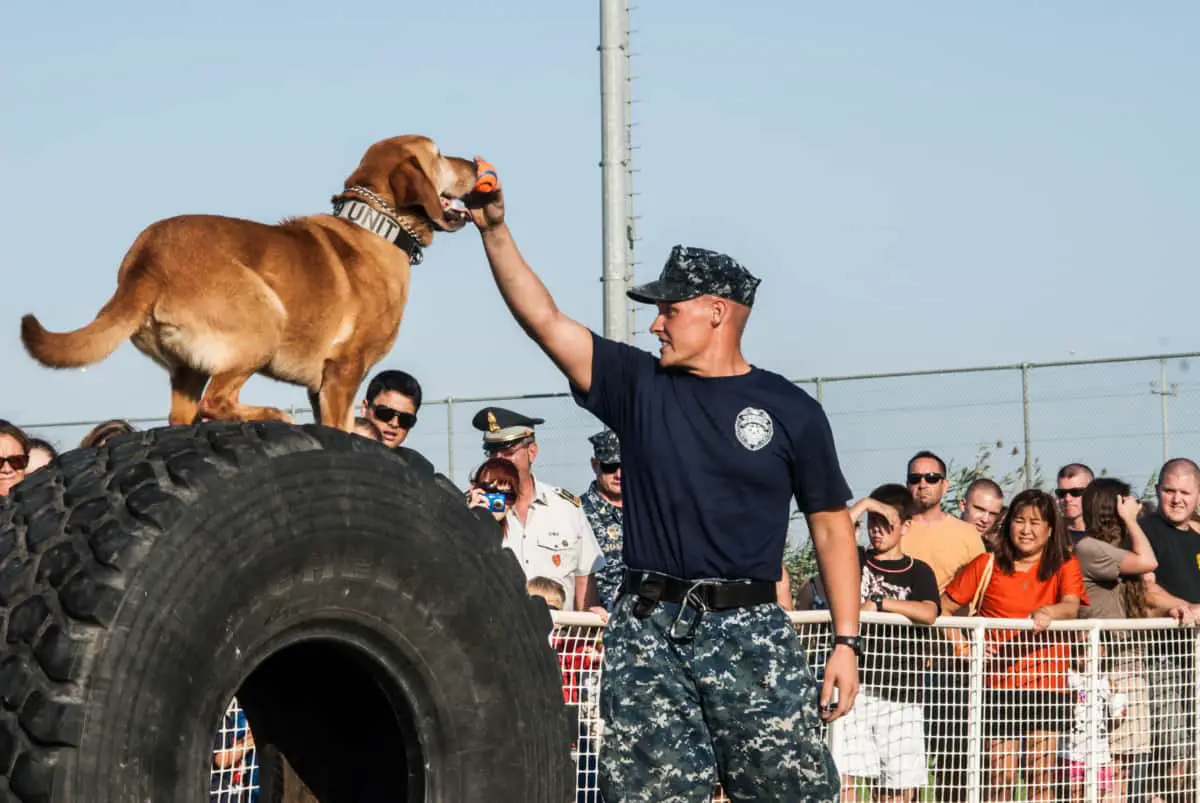 Why Do Sailors Wear White? Catamaran Freedom